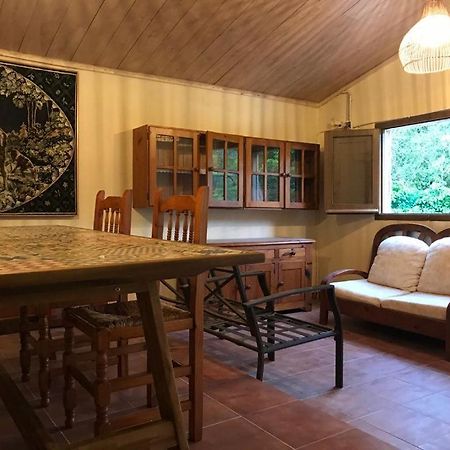 Bed and Breakfast Els Avets De La Muga Sant Llorenc de la Muga Exterior foto
